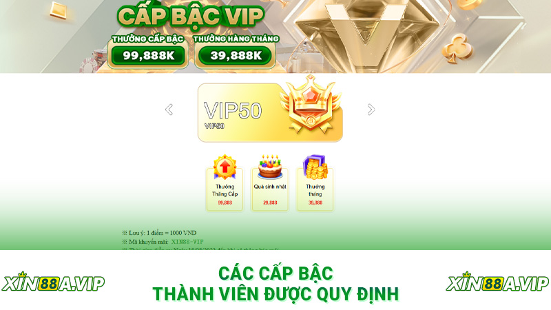 Các cấp bậc thành viên được quy định