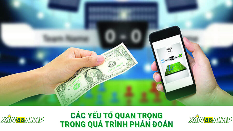 Các yếu tố quan trọng trong quá trình phán đoán