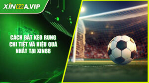 Cách Bắt Kèo Rung Chi Tiết Và Hiệu Quả Nhất Tại Xin88