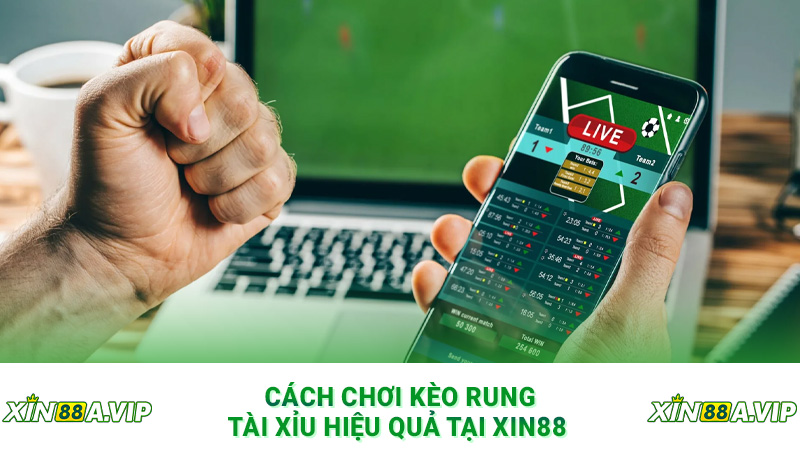 Cách chơi kèo rung tài xỉu hiệu quả tại Xin88 