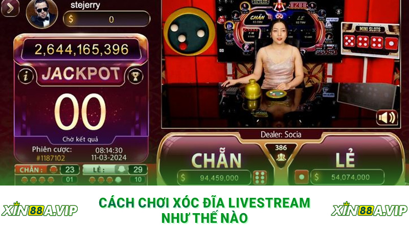 Cách chơi xóc đĩa livestream như thế nào