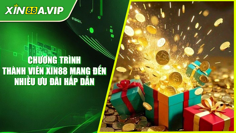 Tiếp Thị Liên Kết Xin88 - Cơ Hội Kiếm Thu Nhập Thụ Động