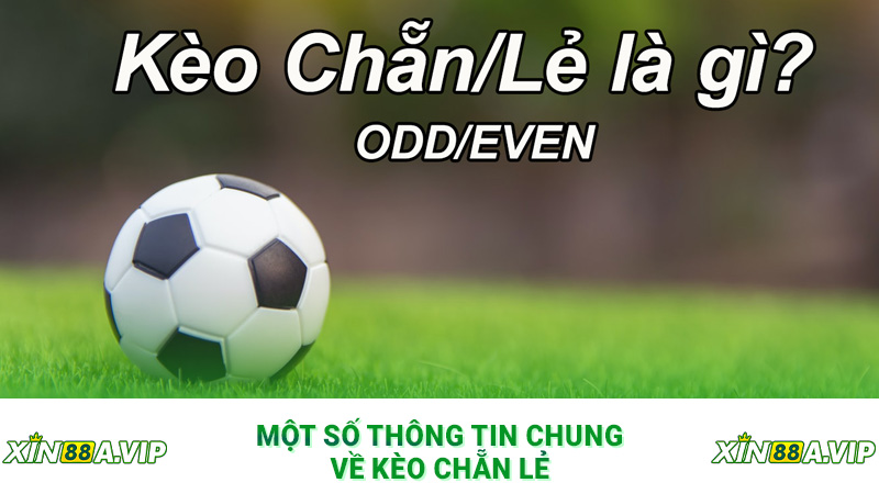 Một số thông tin chung về kèo chẵn lẻ