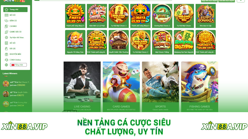 Nền tảng cá cược siêu chất lượng, uy tín