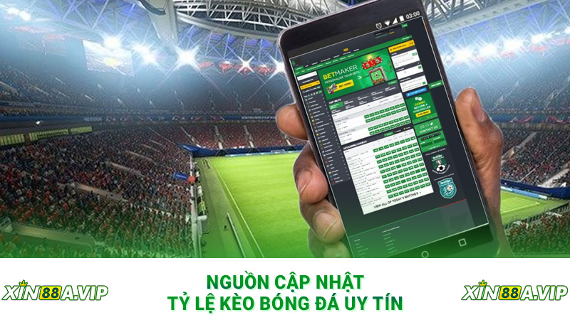 Nguồn cập nhật tỷ lệ kèo bóng đá uy tín