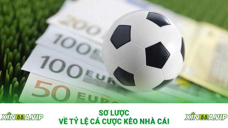 Sơ lược về tỷ lệ cá cược kèo nhà cái