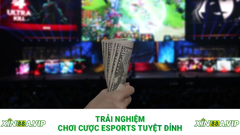 Trải nghiệm chơi cược eSports tuyệt đỉnh