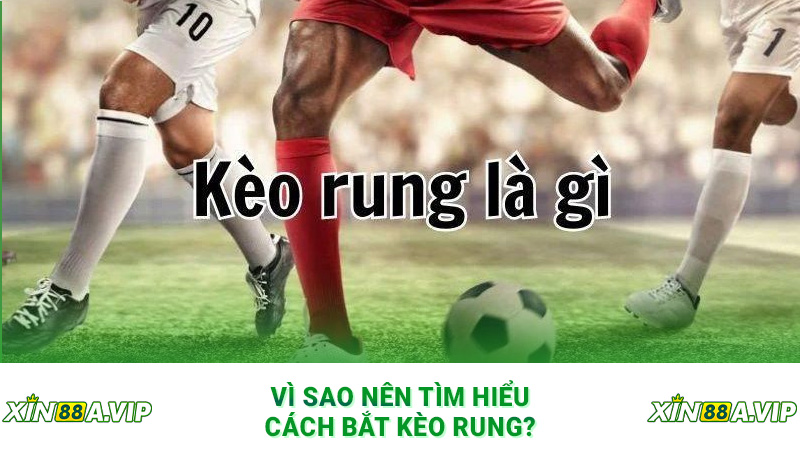 Vì sao nên tìm hiểu cách bắt kèo rung?
