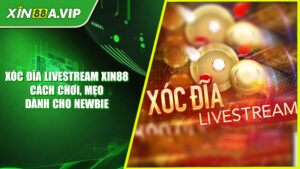 Xóc Đĩa Livestream Xin88 - Cách Chơi, Mẹo Dành Cho Newbie